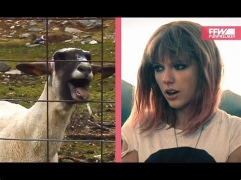This Taylor Swift Video Makes It Official: Goats Are the New Cats ...