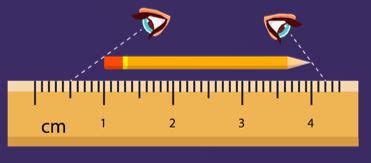 Using Pencil for Measurement 的图像结果