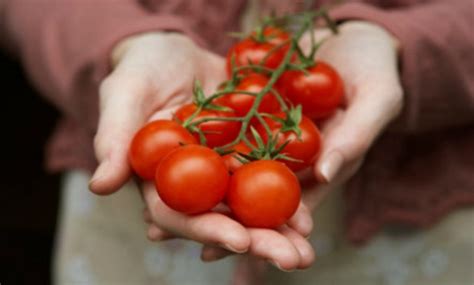 Did You Know That Tomatoes Can Help Fight Stomach Cancer?