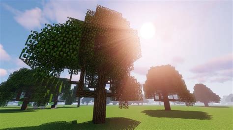 Image result for Minecraft Java Dynamic Trees