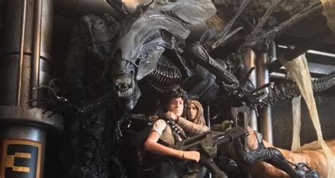 Alien Neste 的图像结果