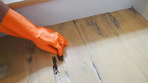 Termite Damage In Hardwood Floors — Floors By Thiago Lima