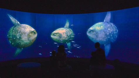 Unseen Oceans | Meer