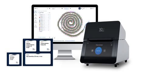 10X Spatial Transcriptomics 的图像结果