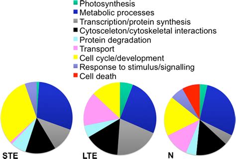 Biological 的图像结果