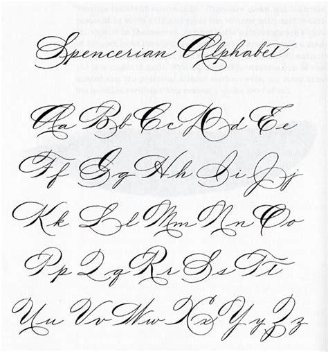 Image result for Spencerian Script Calligraphy Alphabet