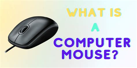Image result for Mouse Information Computer