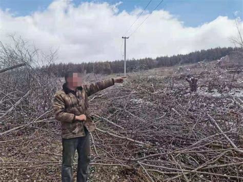 新田县林业公安侦破一起滥伐林木案 - 专题频道