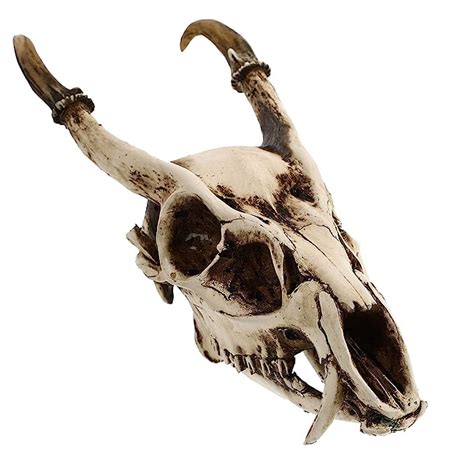 Buy Artibetter Animal Head Skull Resin Skull and Horns Sculpture Sheep ...