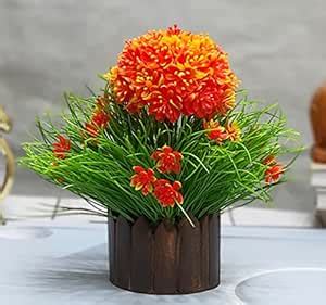 Buy Litleo Great for Home Office Decoration or Birthday Gift, Table Top ...