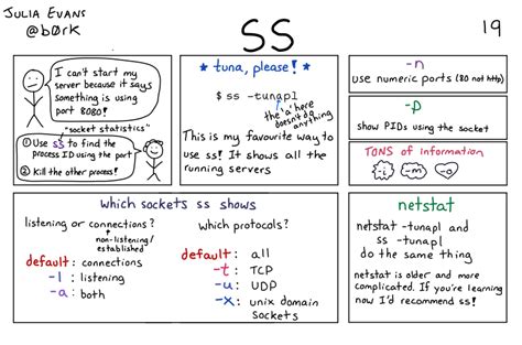 Image result for Rare SS Scripts