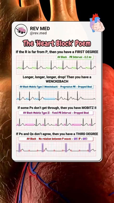 37 Anatomy Reference Diagrams ideas | human anatomy and physiology ...