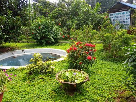 Morning Star College, Angamaly