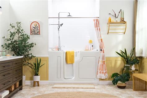Walk-In Tub Shower Unit 的图像结果