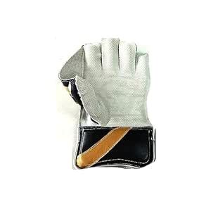Buy T B S Sports Cricket Batting Gloves | Set of 1 | High Density Foam ...