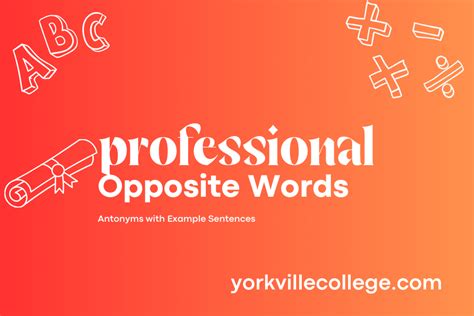 What Is The Opposite of Professional? - Example Sentences