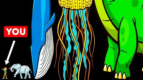 longest 的图像结果