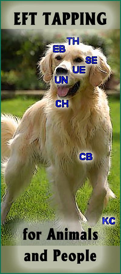 Image result for EFT Tapping Chart Dogs