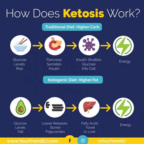What Prevents Ketosis