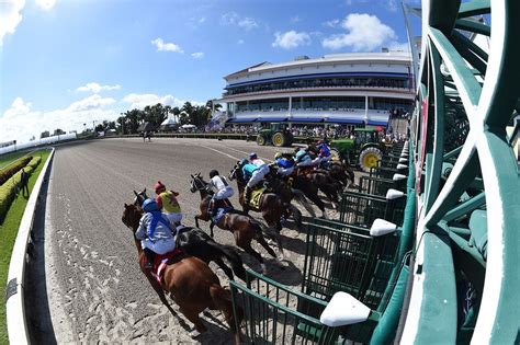 Shapiro's Friday Pick 4 at Gulfstream Park | TwinSpires