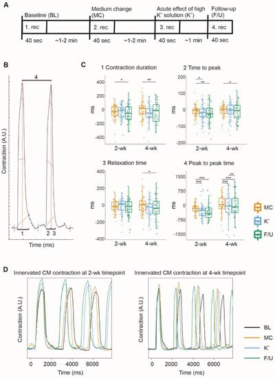 Human Neurons Form Axon-Mediated Functional Connections with Human ...