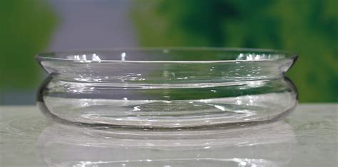 SHOBHANA ENTERPRISES Crystal Clear Glass Fish or Terrarium or ...