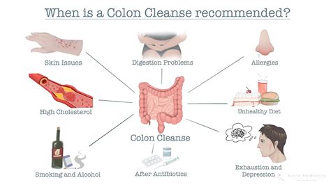 Intestinal Cleansing / Colon Cleansing: Intestinal Cure for Intestinal Health | Alpine BioMedical