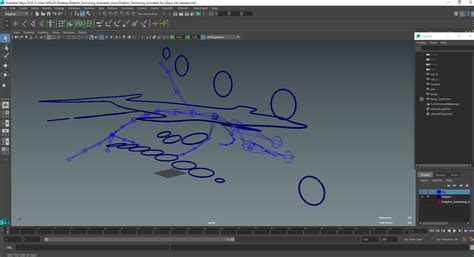 Dolphin Swimming Animated for Maya 3D model | 3D Molier International