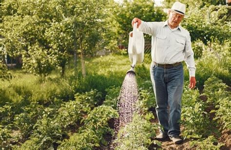 Irrigation Tutorials 的图像结果