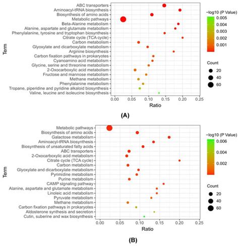 Integrated Metabolome and Transcriptome Analysis Unveils the Underlying ...