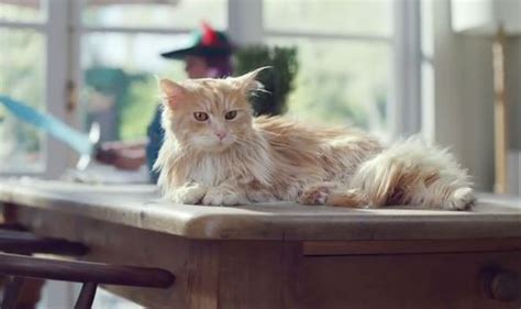 Image result for O2 Advert Dog