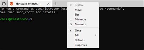 Image result for How to Paste in Shell