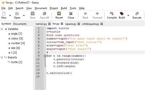 Image result for How to Do Turtle Coding