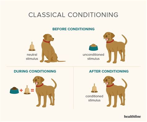 Image result for Classical Conditioning Operant Conditioning