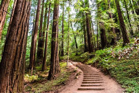 15 Best Hikes in California You have to Do | The Planet D
