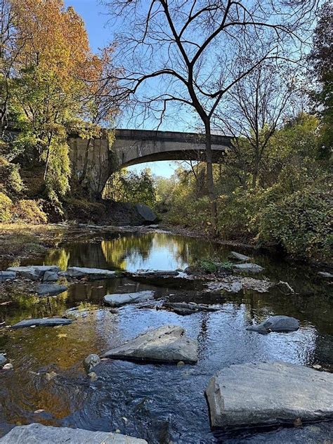 The Future of Here: A Glimpse of a River Culture to Come, The Peale ...