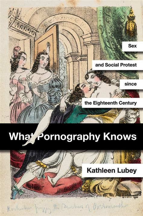 What Pornography Knows | Stanford University Press
