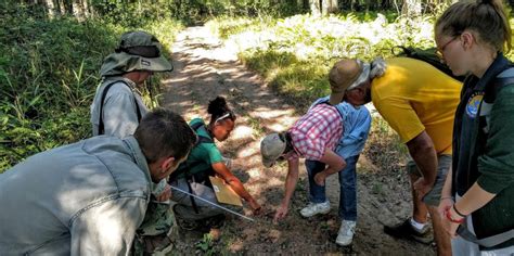 Informal Learning 的图像结果