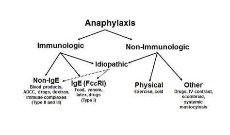 Immunology : Anaphylaxis : Anaphylaxis Introduction : Diseases and ...