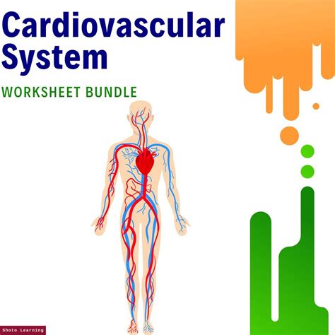 Image result for Nearpod Lesson Code Cardiovascular System