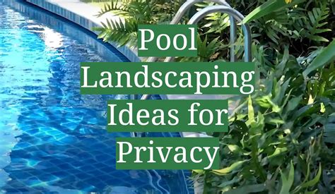 Image result for Privacy Pool Landscaping