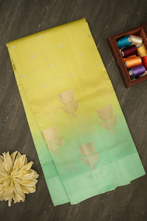 Dual-Tone Raw Silk Saree with Tulip Motifs – Rajmahal Silks | Silk ...