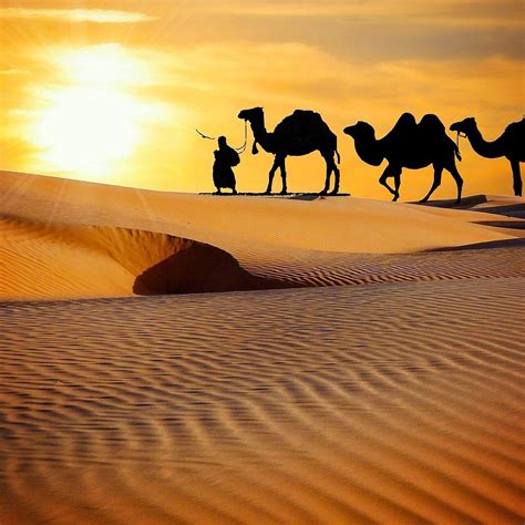 WWW.MOROCCOINSIGHTTOURS.COM (2026) All You Need to Know BEFORE You Go ...