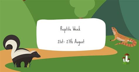 Reptile Week, Cedars Nature Centre, Cheshunt, August 21 to August 27 ...