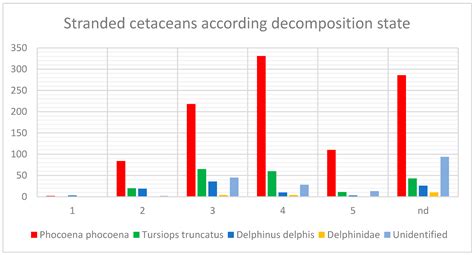 Cetacean Strandings along the Bulgarian Coast of the Black Sea in 2010–2022