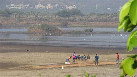 Maharashtra: Legal Protection For 23,000 Wetlands Stalled In Red Tape ...