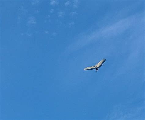 Wallaby Ranch (Orlando) - All You Need to Know BEFORE You Go