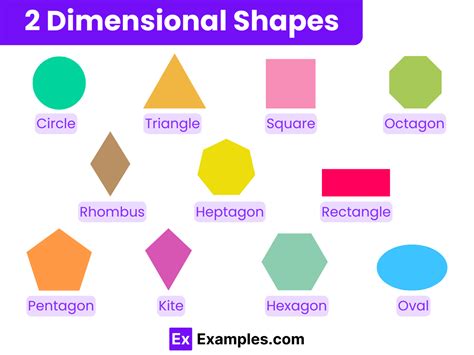 Different 2D Shapes 的图像结果