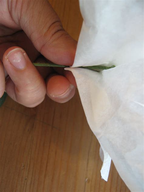 Image result for Pretty Flower Tutorial