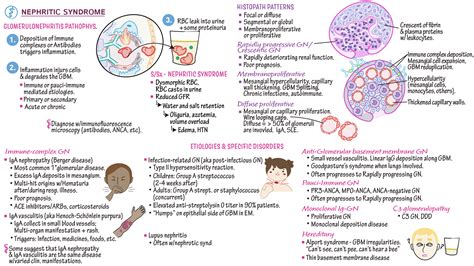 Nephrotic Syndrome Kidney Disease